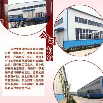 天竺葵純露 深層凈化肌膚，煥活水潤(rùn)光彩——藍(lán)玫丫廠家直銷(xiāo)美容院裝專(zhuān)業(yè)解析